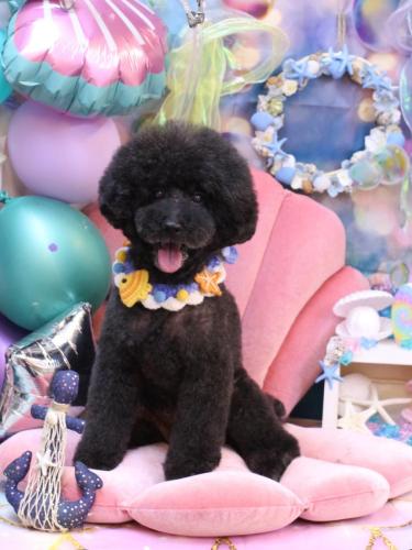 20240817ラブくん